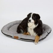 151930_102.jpg?1704379073_1