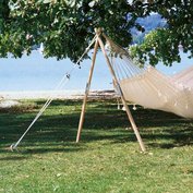 145443_102.jpg?1704378896_1