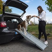 151943_102.jpg?1704379073_1