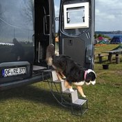 151956_102.jpg?1704379074_1