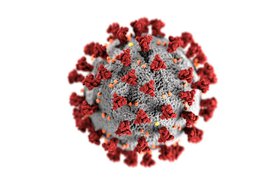 Informace a omezení tykající se koronaviru